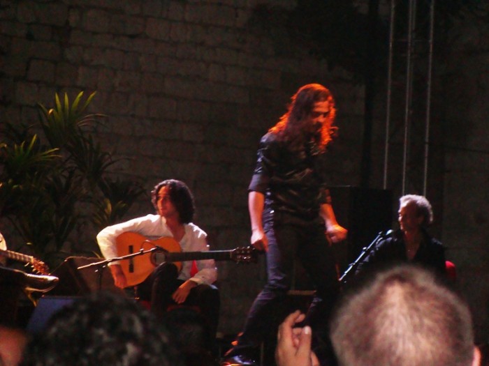 flamenco 1276064132