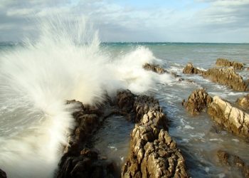 Foto: Danijela Pedišić