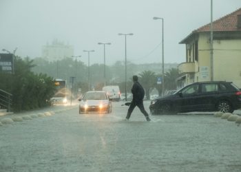 Foto: Marko Dekanic/Arhiva