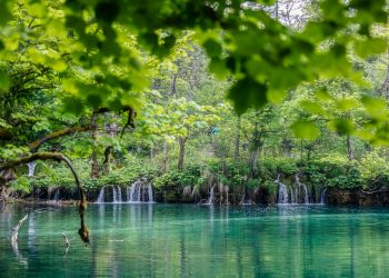 Foto: Vedran Božičević