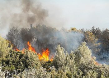 Foto: Tomi Burčul