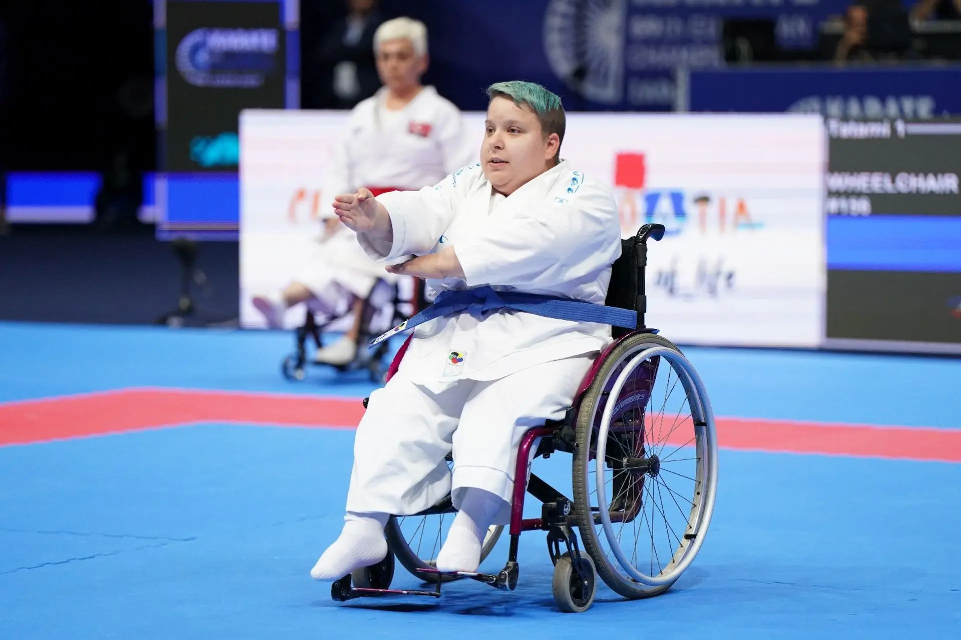 karate 1 1