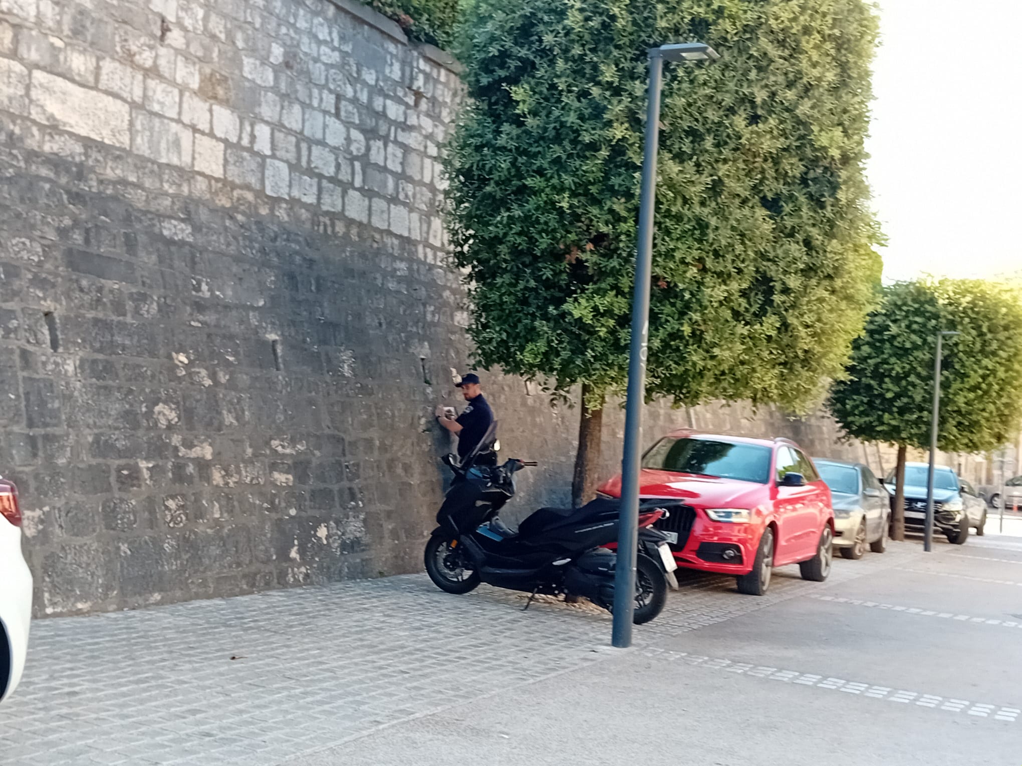 policija kazne muraj