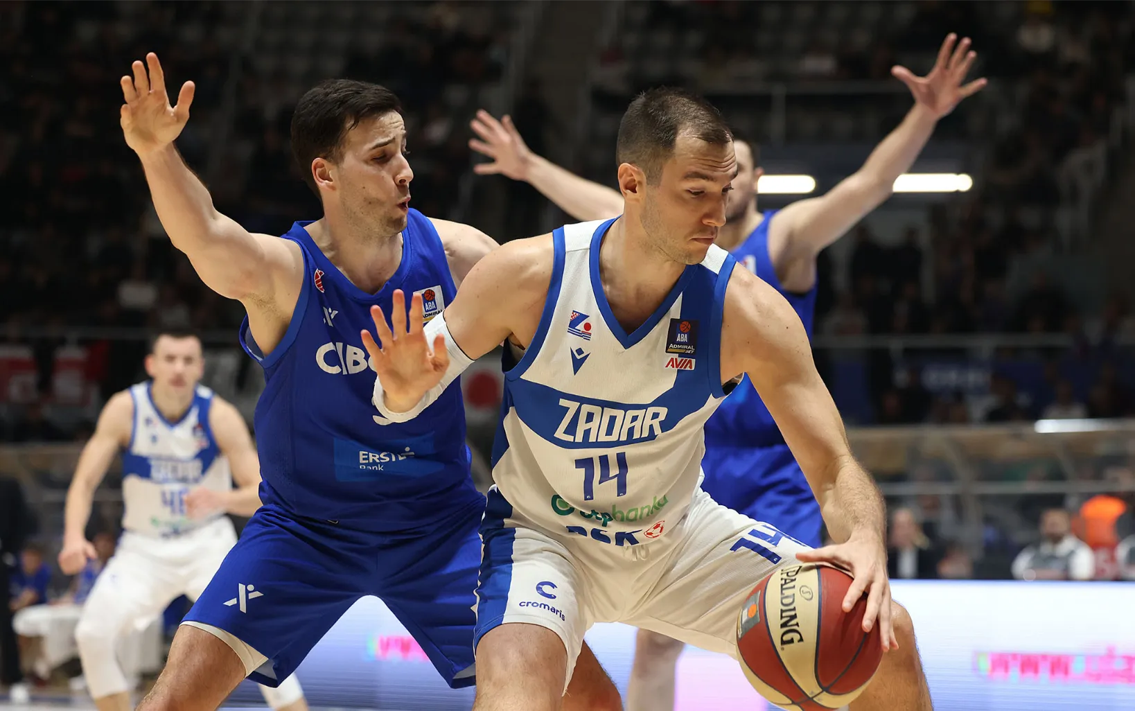 kk zadar kk cibona 100125 45