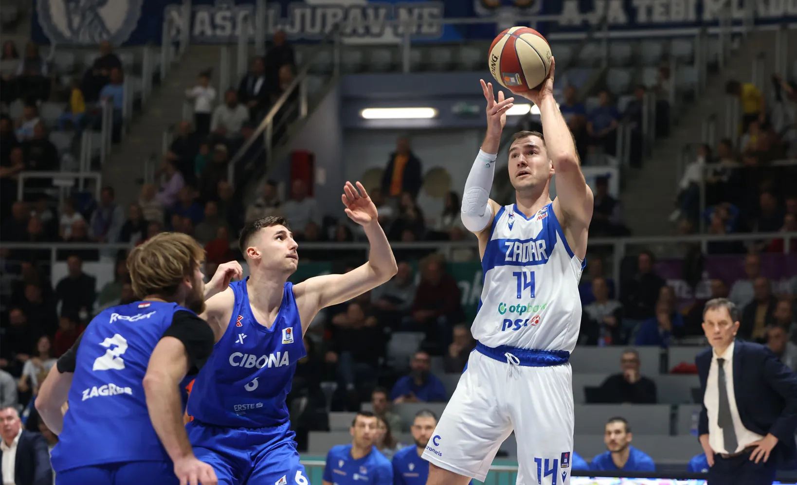 kk zadar kk cibona 100125 51