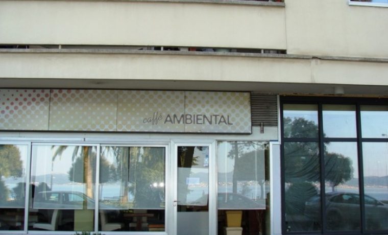 ambiental_1303368695.JPG