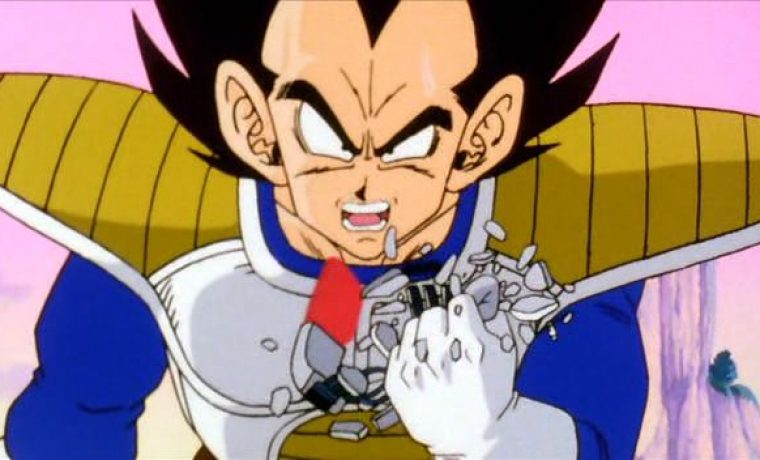 vegeta_1297928104.jpg